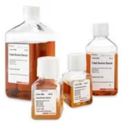 Soro bovino fetal - F7524 -  Sigma Aldrich - 100mL